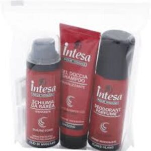 INTESA POUR HOMME SACCHETTO MINITAGLIE DEO 50ML+D/S 50ML+SC BARBA 50ML