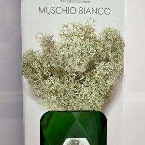 MERCURY PROFUMO DIFFUSORE BOTTIGLIA ESAGONALE 300ML MUSCHIO BIANCO