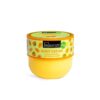 IDC INSTITUTE B/L PAPAYA & MANGO 500GR